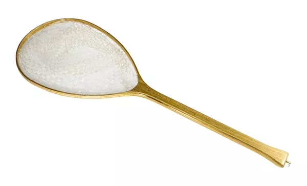 Andy Thornal Lon gHandle Fishing Net