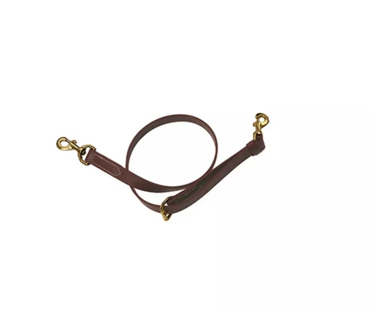 Berlin Custom Leather Biothane Tie Down