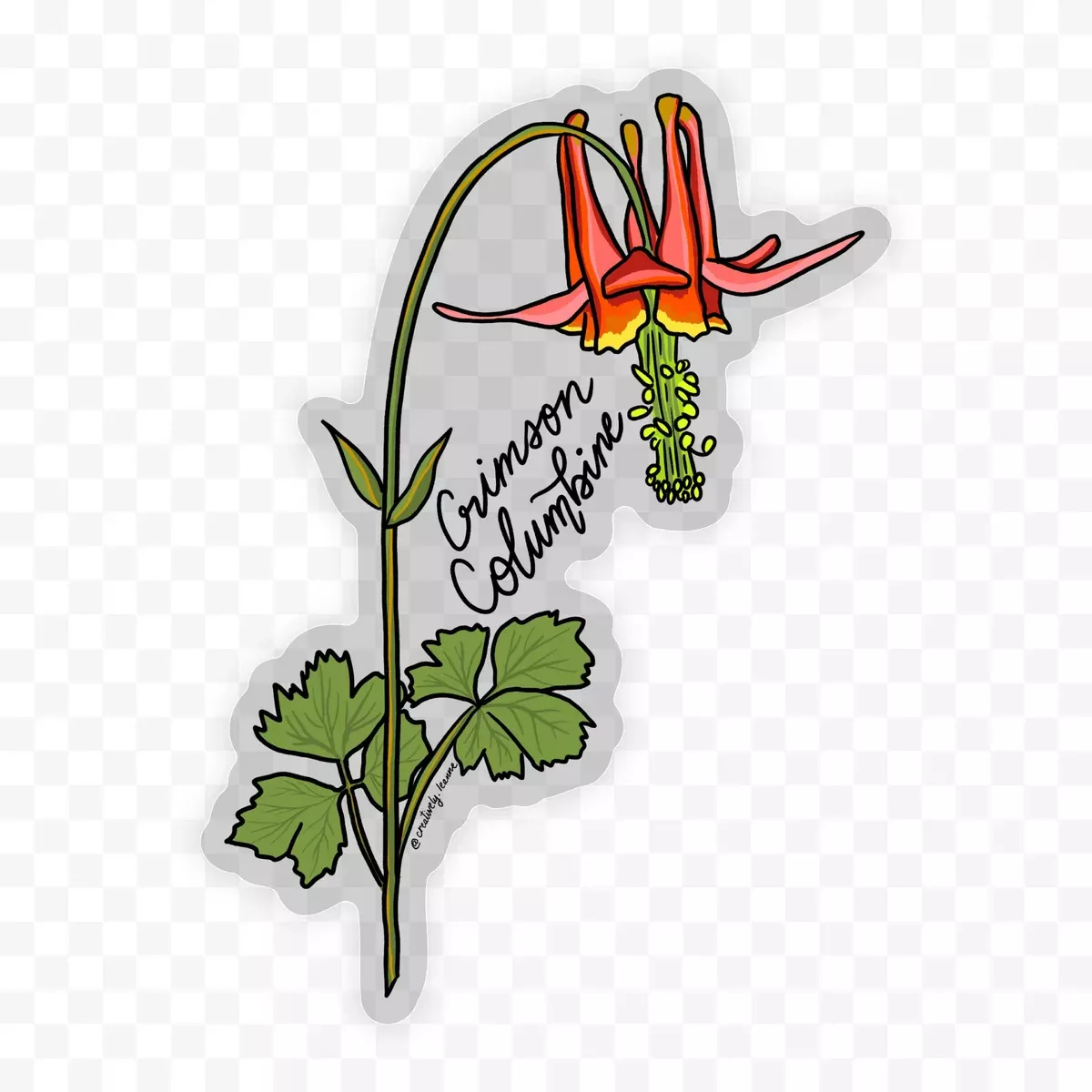 Crimson Columbine Wildflower Sticker 5"