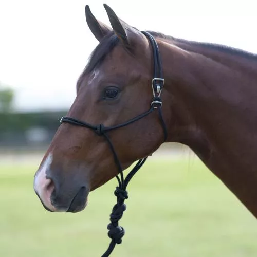 Easy On Rope Halter with Lead