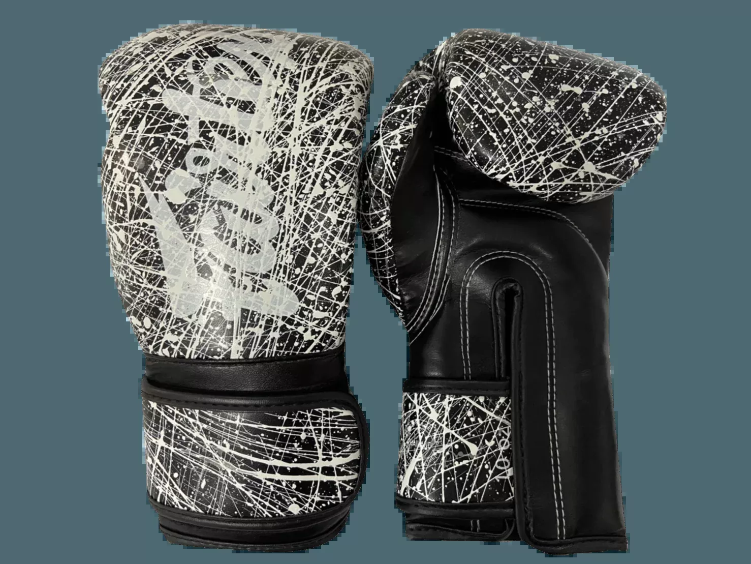 Fairtex Boxing Gloves BGV14 Korean Painter