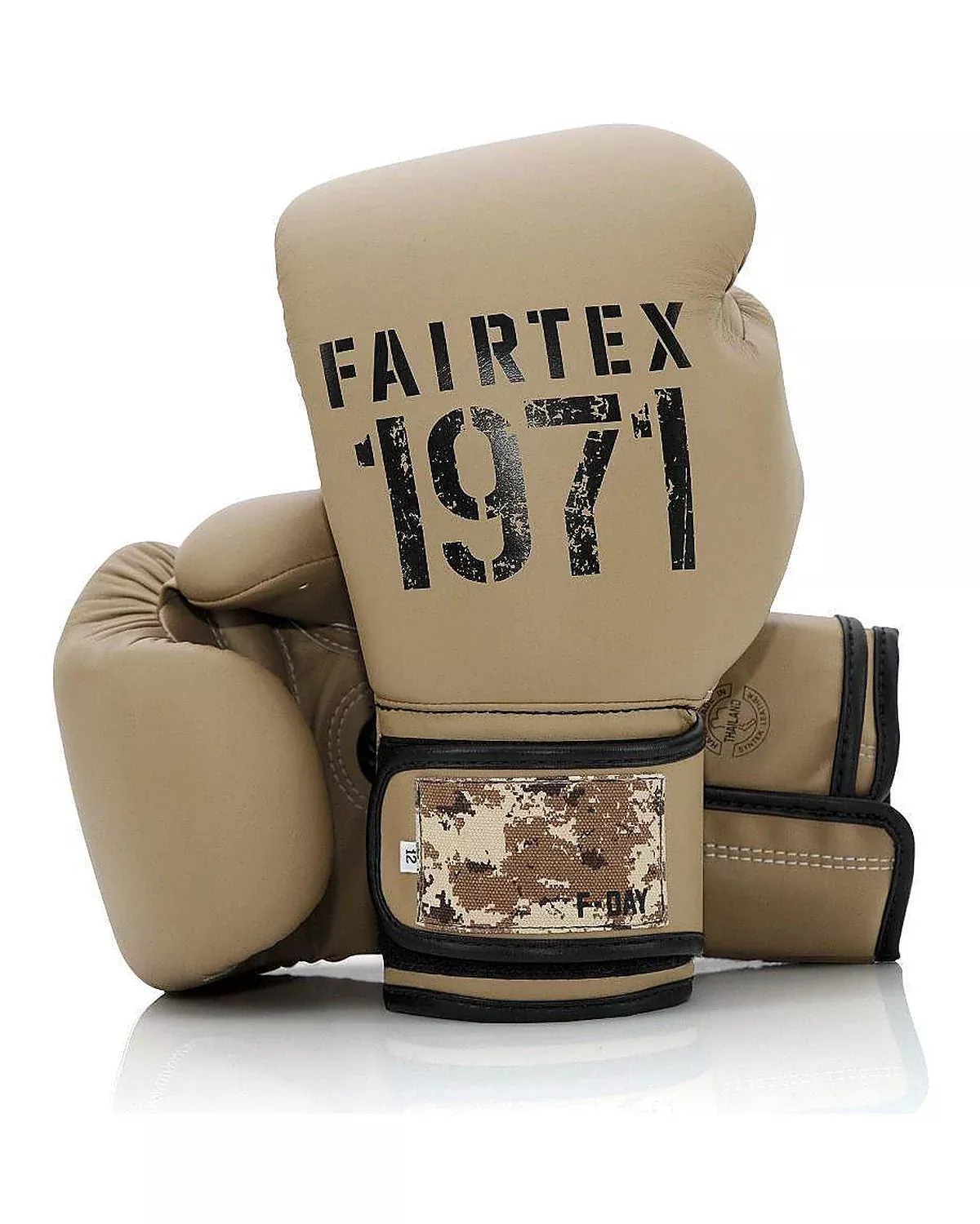 Fairtex F-Day 2 Gloves - BGV25