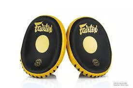 Fairtex Focus Mitts - FMV15