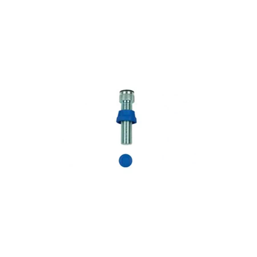 Frame fixation bolt