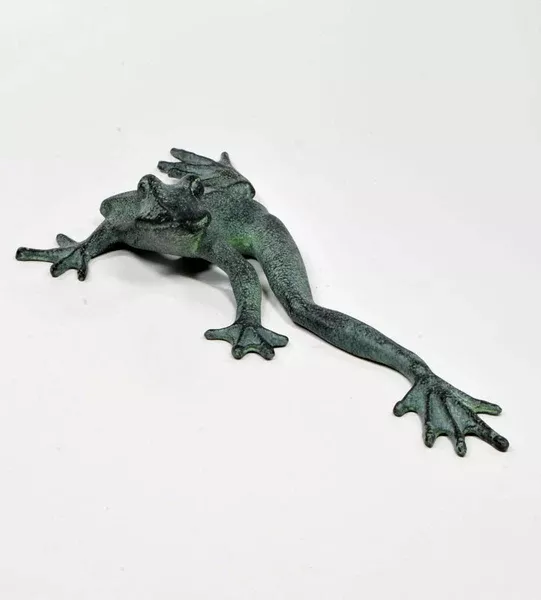 Froggy Long Legs Stretching his Legs