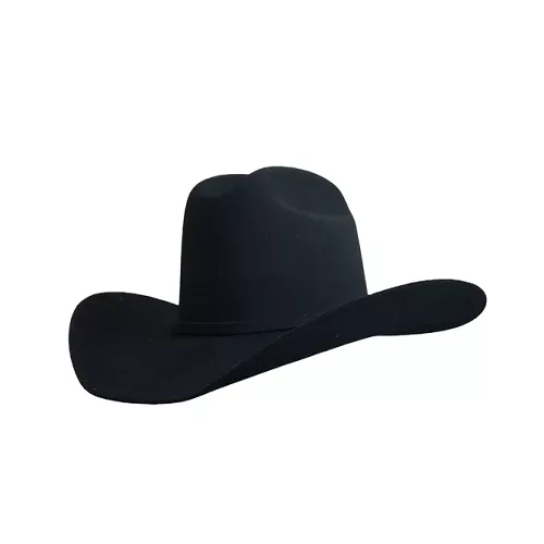 Gone Country Yellowstone Black Hat