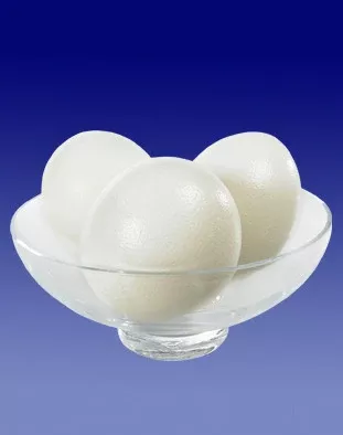 Ostrich Eggs for Display | Set of 3