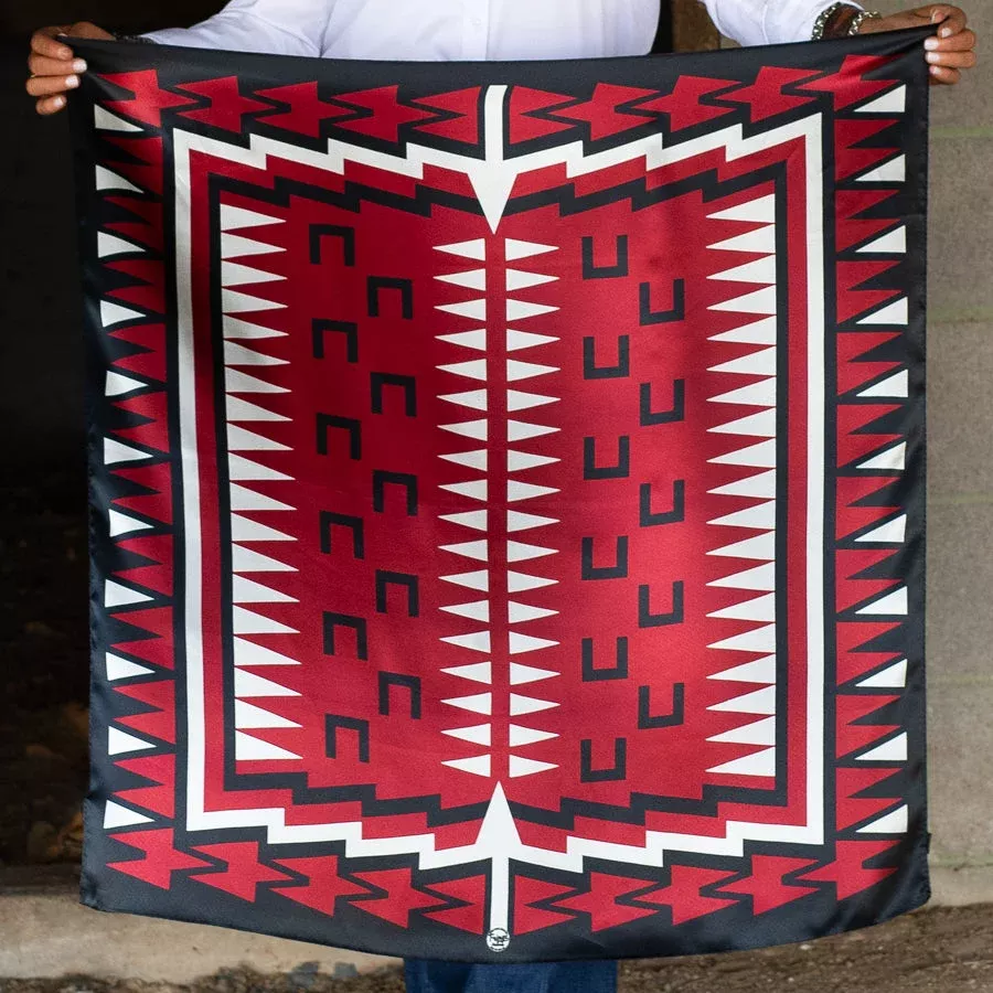 Pony Raiders by Fringe Scarves