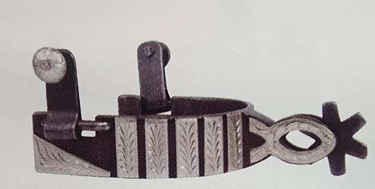 Professional's Choice 1" 6 Point Rowel Spur