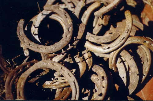 Used Horseshoes