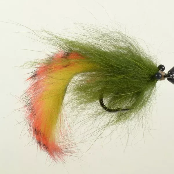 Witch Doctor Fly